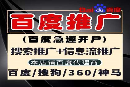 某电商平台的SEM推广策略及效果分析
